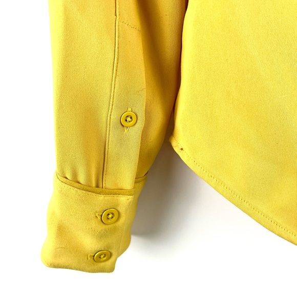 Aritzia Babaton Harrison Acacia Button-Down Matte-Satin Shirt - Picture 6 of 14